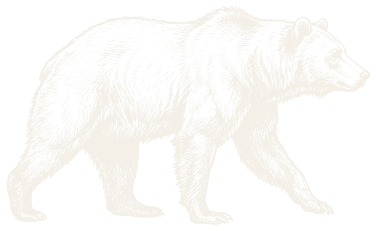 Bear Outdoor